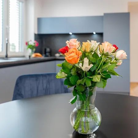 Apartmán Luxusny Klimatizovany Dvojspalnovy Narodna Trieda, Kosice, Free Parking *